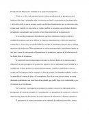 Presupuesto De Producción, resultado de un grupo de presupuestos