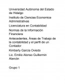 Ingenieria civil( Áreas de Trabajo de la contabilidad y el perfil de un Contador.)