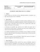 INFORME DE LABORATORIO: FRUTAS AL ALMÍBAR