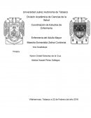 Coordinación de Estudios de Enfermería Enfermería del Adulto Mayor