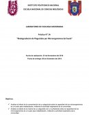 Práctica N° 14: “Biodegradación de Plaguicidas por Microorganismos del Suelo”