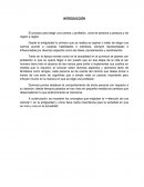 Elección de la profesión en el contexto social