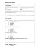 PROGRAMA DE ESTUDIOS - TEORÍA DEL DELITO