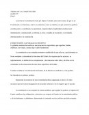 TEORIA DE LA CONSTITUCIÓNcapitulo IV