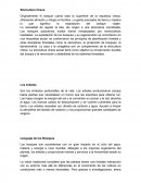 Silvicultura Checa