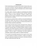 LAS ETAPAS DE LA AUDITORÍA INTERNA Y LA UBICACIÓN DEL ÁREA RESPONSABLE DE LA FUNCIÓN DE AUDITORÍA INTERNA EN LAS ORGANIZACIONES