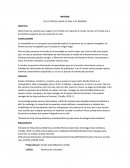 INFORME DE LO VIRTUAL HACIA LO REAL Y DE REGRESO