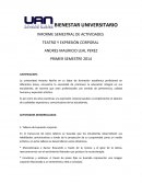 Informe Final Teatro y Expresion Corporal