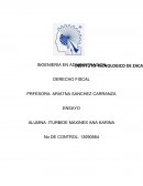 GENERALIDADES DE LAS PERSONAS FISICAS