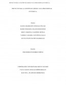 PROYECTO PARA LA GESTIÓN DEL RIESGO DATA PROCESSING & SYSTEMS S.A.