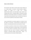 Estudio y Análisis del Mercado