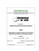 Organigrama, logotipo, cuestionario de análisis y descripción de puestos de Volkswagen Irapuato