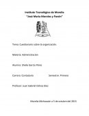 Cuestionario sobre la organización