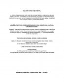 Analisis Cultura Organizacional