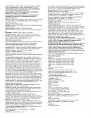 Base de Datos creacion