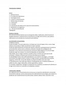 Ensayo TOXICOLOGIA FORENSE