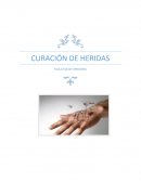 Curación de heridas. Desarrollo de la práctica