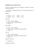 REPORTE DE LAS PRÁCTICAS