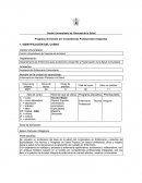 Programa de Estudio por Competencias Profesionales Integradas