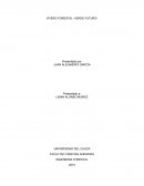 INGENIERÍA FORESTAL. VIVERO FORESTAL - VERDE FUTURO