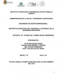 REPORTE DE INVESTIGACIÓN: DESARROLLO HISTÓRICO DE LA SEGURIDAD INDUSTRIAL