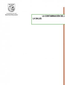 CONTAMINACION EN EL AIRE Y EFECTOS EN LA SALUD. Página 1