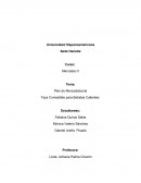 Plan de Mercadotecnia Taza Comestible para Bebidas Calientes