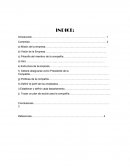 PROYECTO Habilidades Ejecutivas.