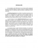 Marketing de Experiencia.