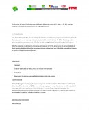 Fungicidas para cafe