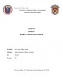 BUSINESS STRATEGY FOR IVI HOGAR