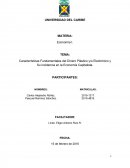 Características Fundamentales del Dinero Plástico y/o Electrónico y Su incidencia en la Economía Capitalista.