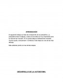 Etapas de la autoestima