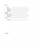 La falta de trabajo en el siglo XXI