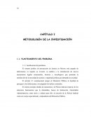 METODOLOGÍA DE LA INVESTIGACIÓN. TESIS