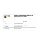 FICHA DE PROCESO.
