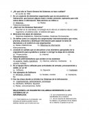 Respuestas Sistemas de la Informacion