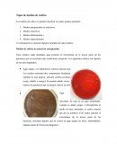 Tipos de medios de cultivo