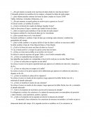 ¿De qué manera se puede crear una base de datos desde la vista hoja de datos?