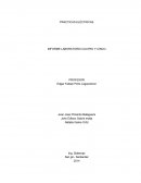 Los componentes eléctricos como transistores y pulsadores