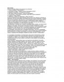 Siete hábitos de las personas muy eficientes