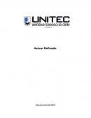 Estudio de proyecto factibilidad azucar