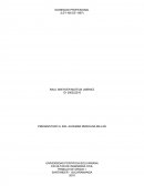 IDONEIDAD PROFESIONAL