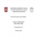 Promoción de estilo de vida saludable