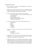 Condiciones socio culturales