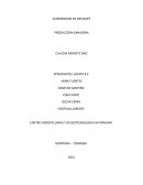 ELABORACION DE AREQUIPE