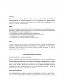 Planificacion de electrolux