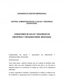 CONDICIONES DE SALUD Y SEGURIDAD EN INDUSTRIAS Y ORGANIZACIÓNES MEXICANAS.