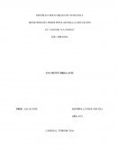 UNA MENTE BRILLANTE Esta película comienza en Septiembre de 1947