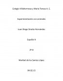 Experimentación con animales es una polémica mundial